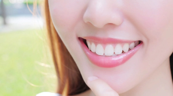 32 nombres de los dientes permanentes y dónde están